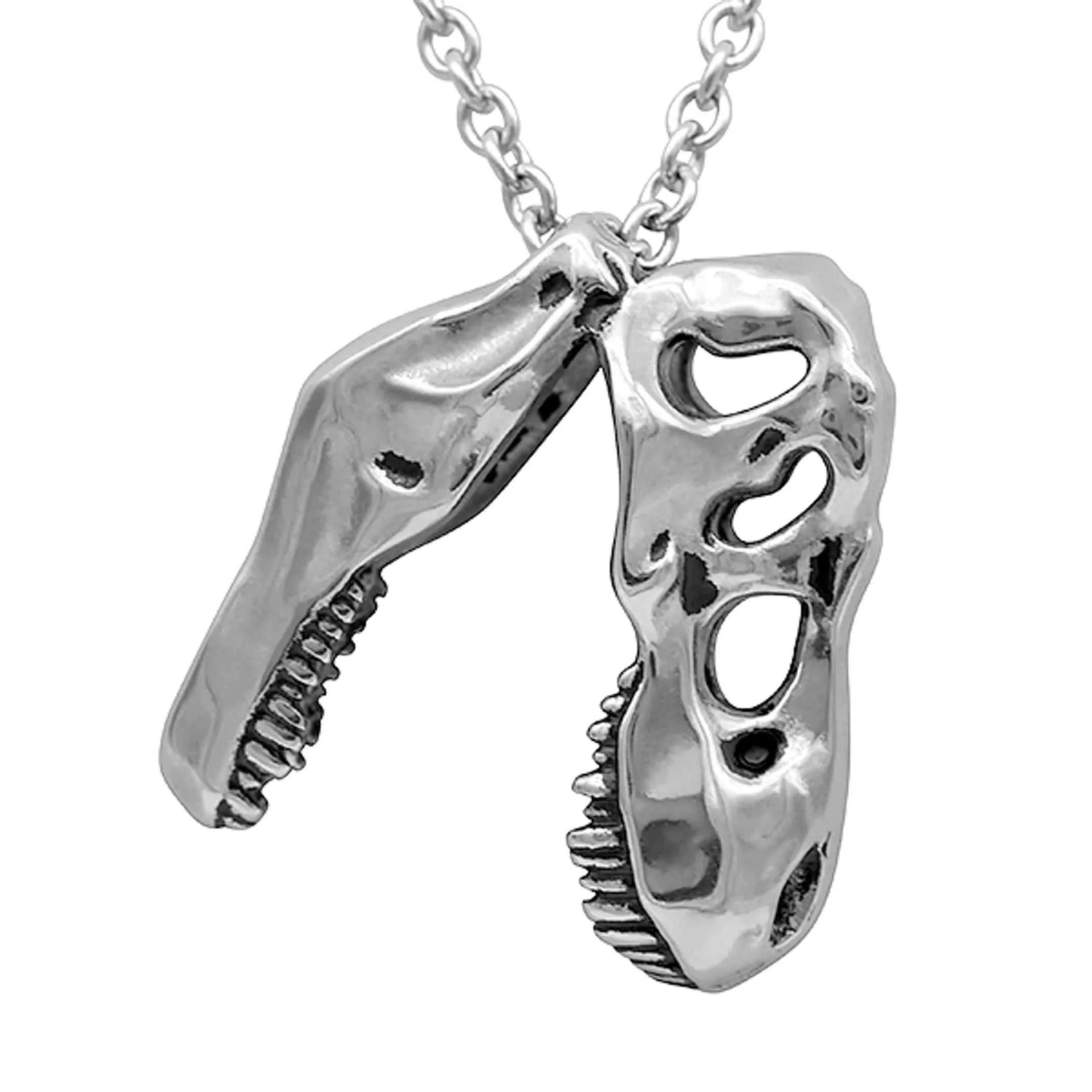 Stainless steel Dinosaur Necklace with T-Rex skull pendant on silver chain